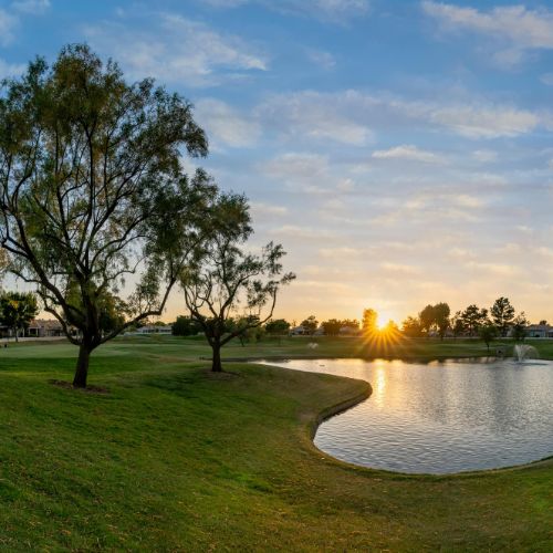 Twin Orchard - stock - Dawn Campbell - neighborhood guide